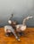 Vintage Carved Wood Goose Sculptures - Set of 3 For Sale - Image 17 of 18