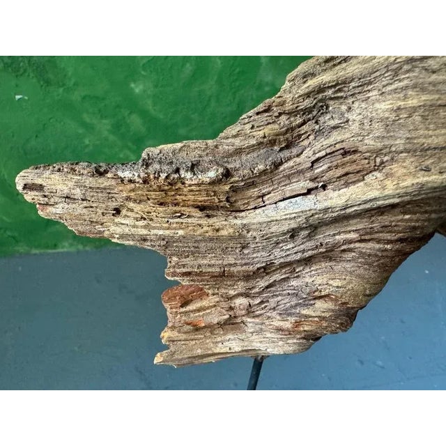 Gold Immature Sculpture by Markus Friedrich Staab For Sale - Image 8 of 10