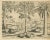 Paper Pineapple and Mango and Pepper Plants, 1598, Set of 3 For Sale - Image 7 of 9