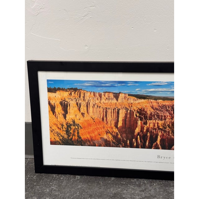Contemporary Bryce Canyon Panoramic Photo, Framed For Sale - Image 3 of 12