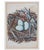 Set of 8 Antique 18th & 19th C Oological Engraving Prints of Eggs & Nests For Sale - Image 10 of 11