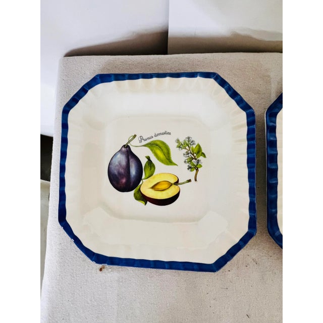 Italian Blue and White Plates With Pear and Plum Designs - Set of 2 For Sale - Image 6 of 9