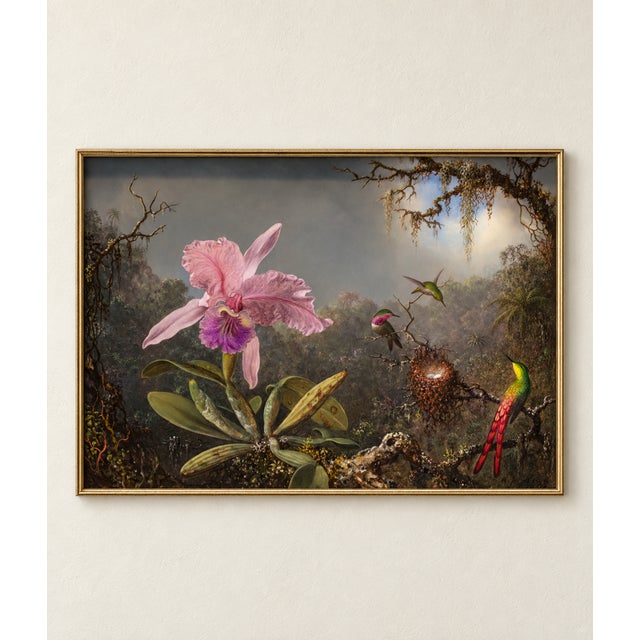 This vintage hummingbird and orchid tropical art print by Martin Johnson Heade brings lush botanical beauty and dramatic...
