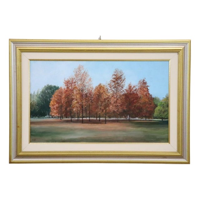 Autumn Landscape, Oil Painting on Canvas Cardboard, 20th Century, Framed For Sale