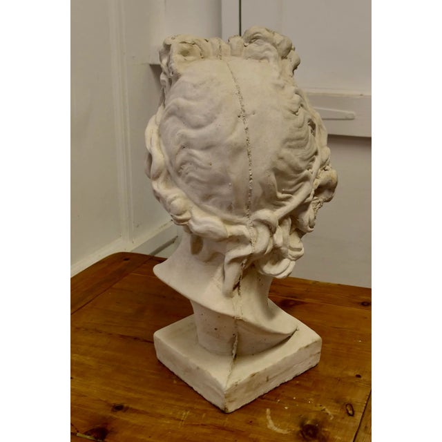 Large Weathered Bust of Apollo, 1960s For Sale - Image 9 of 9