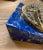 1960s 1960s Italian Lapis Lazuli and Gilt Bronze Medusa Plaque, Gioielleria Tarascio, Rome For Sale - Image 5 of 9