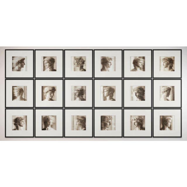 Set of 18 Blurred Antique Profiles — Archival Prints of Restored Antique Photographs For Sale - Image 17 of 17