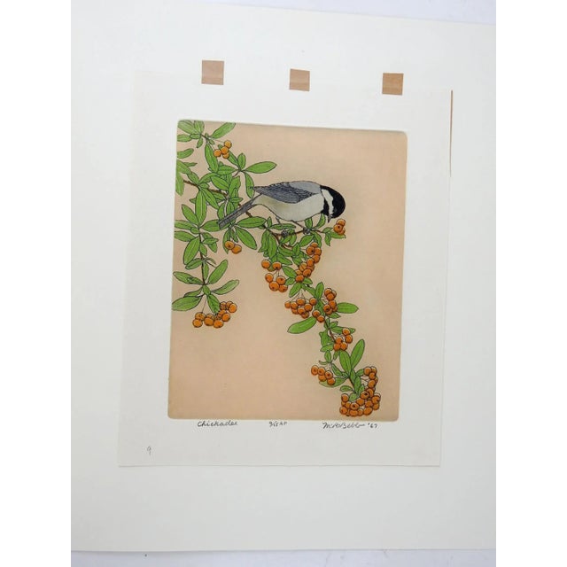 Vintage 1967 Maurice Bebb Chickadee Aquatint Etching For Sale - Image 4 of 5