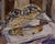 This oil painting presents a still life composition centered around a fishing reel, surrounded by an assortment of fishing...