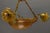 French Neoclassical Style Amber Alabaster and Frosted Glass Chandelier, 1920 For Sale - Image 17 of 18