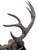 Bronzed Tole 14-point Buck Trophy Head Wall Mount For Sale - Image 9 of 12
