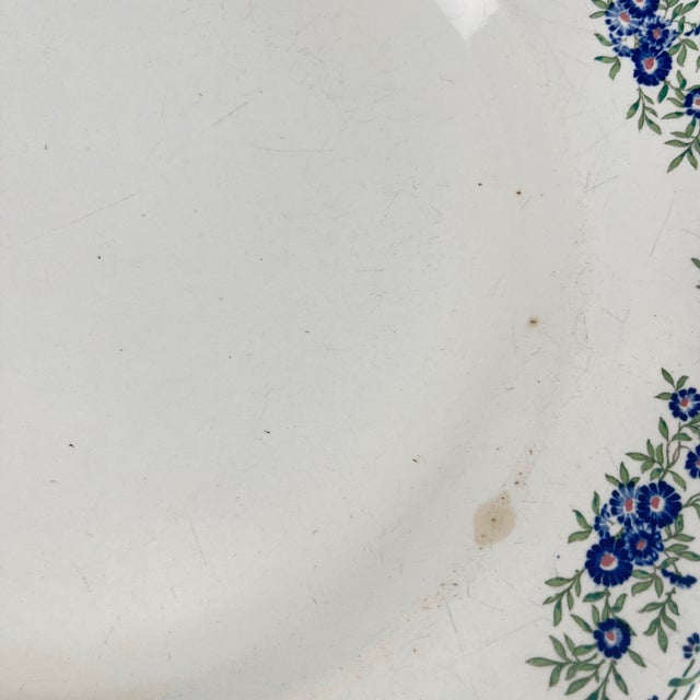 Blue Round Dish from Sarreguemines, 1875-1920 For Sale - Image 8 of 11