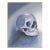 Late 20th Century Gray Blue Skull Painting For Sale