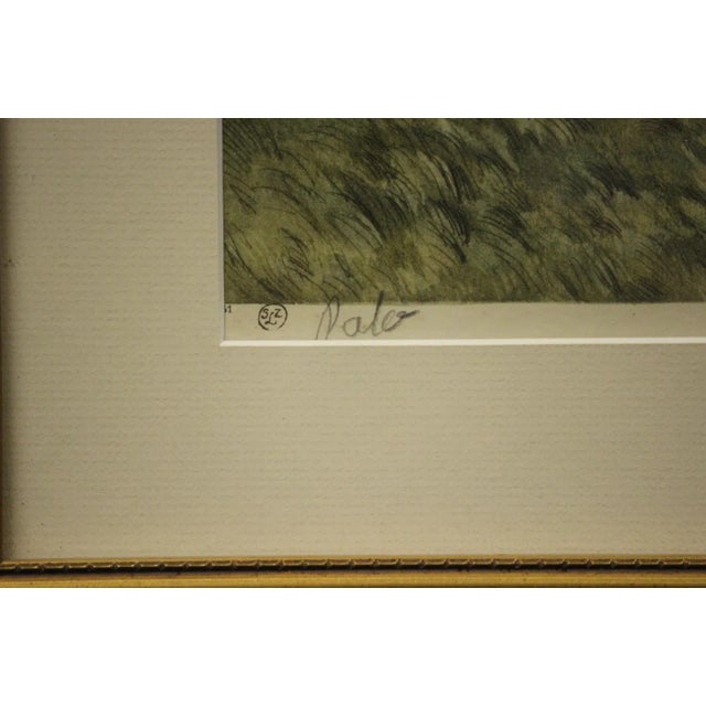 "French Polo" Color Plate For Sale - Image 5 of 7