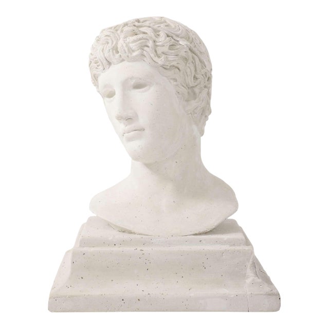 French Plaster Bust of a Classical Youth For Sale