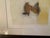 Mary Mackey Artist Mixed Media Abstract Expressionist For Sale In Phoenix - Image 6 of 8
