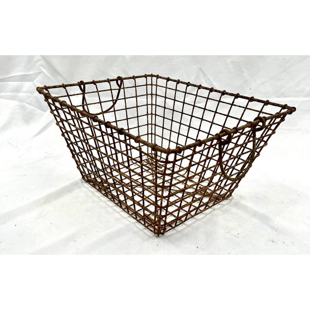 Early 1900s French metal wire oyster basket. Stackable with folding handles at each end. Originally created to grow...