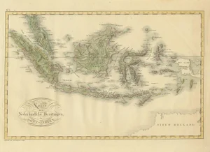 Antique Map of the Dutch East Indies by Van den Bosch 1818