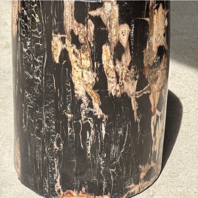 Side Table in Black Petrified Wood with Beige Sides, 1980s For Sale - Image 17 of 18
