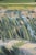 Green Contemporary Lakeside Landscape Oil on Canvas For Sale - Image 8 of 10