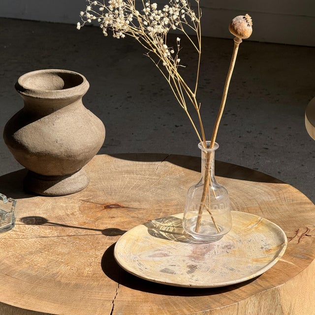 Stone Beige Petrified Wood Trinket Tray or Dish, 1980s For Sale - Image 7 of 9