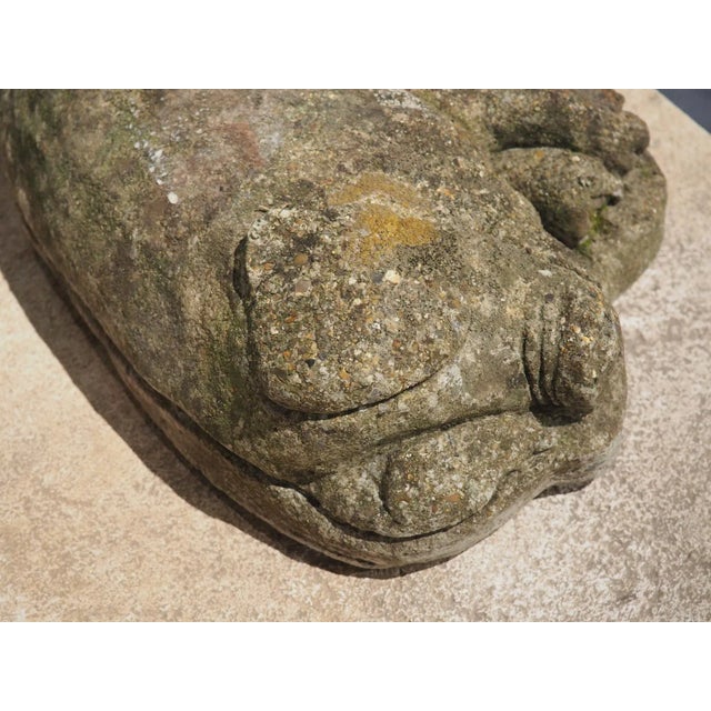 Gray Weathered Cast Stone Pig and Piglets From England, 20th C. For Sale - Image 8 of 13