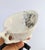Vintage Model C73 Ceramic Teacup and Saucer by Antonia Campi for Laveno, 1950s, Set of 2 For Sale - Image 14 of 15