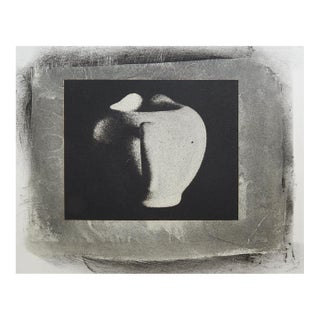 Late 20th Century Still Life Gray Cyanotype Photograph For Sale