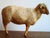 Rubber Antique 1930s Zoological Sheep Figurine / Model Used in School For Sale - Image 7 of 11