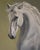 Triumph by Sarah van der Helm | Oil on panel Portrait of a white horse. For Sale