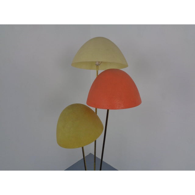 Italian Fiberglass & Brass Floor Lamp, 1950s For Sale - Image 14 of 18