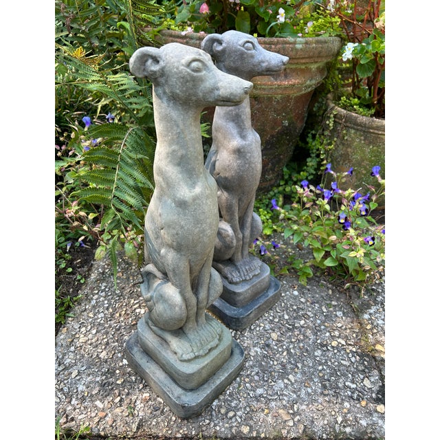 These whippet or greyhound statures are poised to greet your visitors or adorn a spot in your garden. Made in the late...