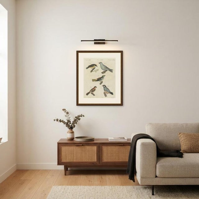 Bertuch, Tanagers and Java Sparrow Songbirds, 1805, Print For Sale - Image 11 of 12