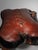 1950s Cowhide Camel Saddle Stool, 1950 For Sale - Image 5 of 9