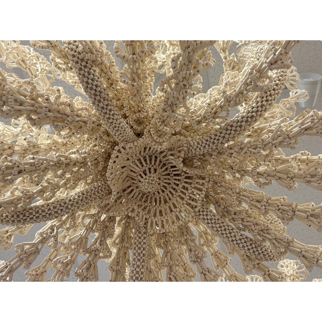 Boho Chic Palacek Seychelles Coco Chandelier in Cream For Sale - Image 3 of 11