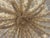 Boho Chic Palacek Seychelles Coco Chandelier in Cream For Sale - Image 3 of 11