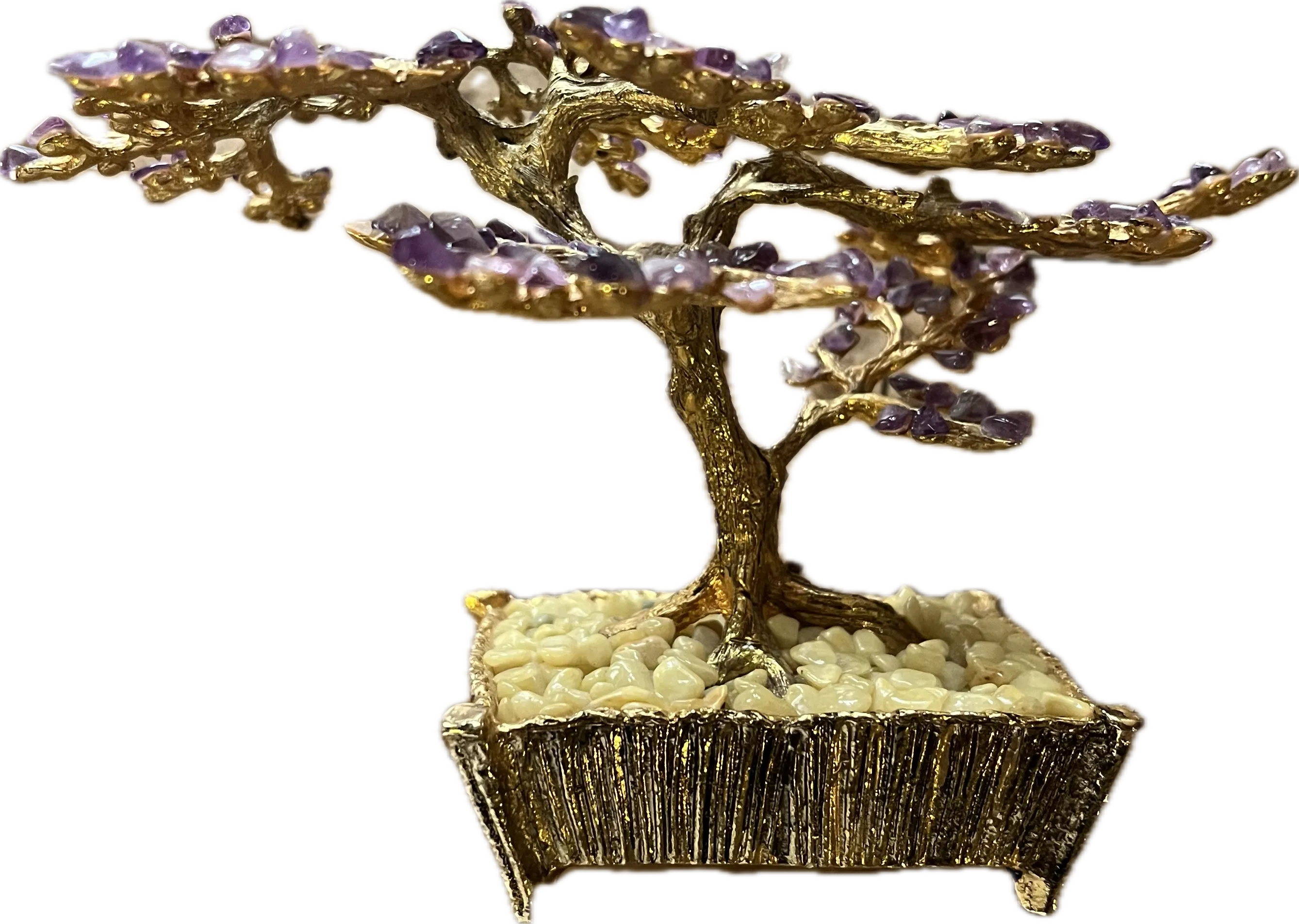 fuji-kirsche bonsai Fuji Cherry 3 gal size -Prunus incisa 'Kojo no-mai' – Bella Bonsai Nursery main image 0