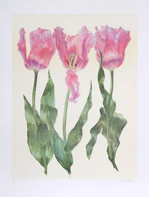 Carol Ann Bolt, Tulips, Lithograph