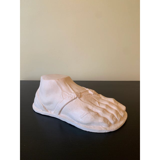 Grand Tour Style Greek or Roman Plaster Foot Sculpture For Sale - Image 11 of 12