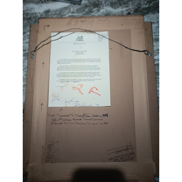 1990s John Gould Bird Lithograph Framed Trogon Puella Exotic Bird in Ebony Cocoa Frame Bombay Co For Sale - Image 11 of 11