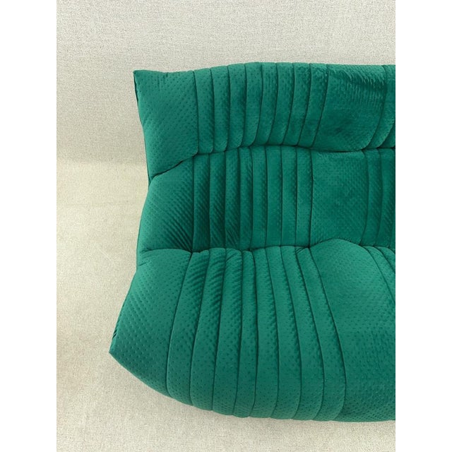 Green Two-Seater Aralia Sofa from Ligne Roset For Sale - Image 14 of 18