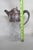 Late 1800s Silver Plate and Glass Lemonade Jug Large Water Pitcher 4460b For Sale - Image 10 of 14