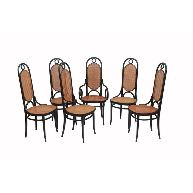 Model 207 R Chairs by Michael Thonet for Thonet, 2000, Set of 6 For Sale - Image 16 of 16