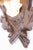 Black Forest Antique Black Forest Roe Deer Antlers Hunting Trophy Mount For Sale - Image 4 of 6