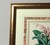 Antique Botanical Print of the "Surinam Centropogon" by Sir Joseph Paxton For Sale In Philadelphia - Image 6 of 8
