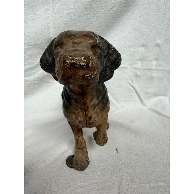 1940's Rod Iron, very heavy Posing English Setter ready for the hunt. In Excellent Condition.