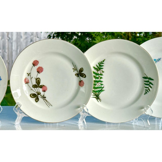 Late 19th Century Limoges Porcelain Dinner Plates From 1880 - Set of 8 For Sale - Image 5 of 16