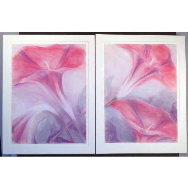 1982 Abstract Botanical Matted Diptych Pastel Drawings by Nancy Denison - a Pair For Sale - Image 9 of 9