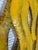 Isa Di Battista Gorini, Untitled, 1990s, Canvas For Sale - Image 4 of 6