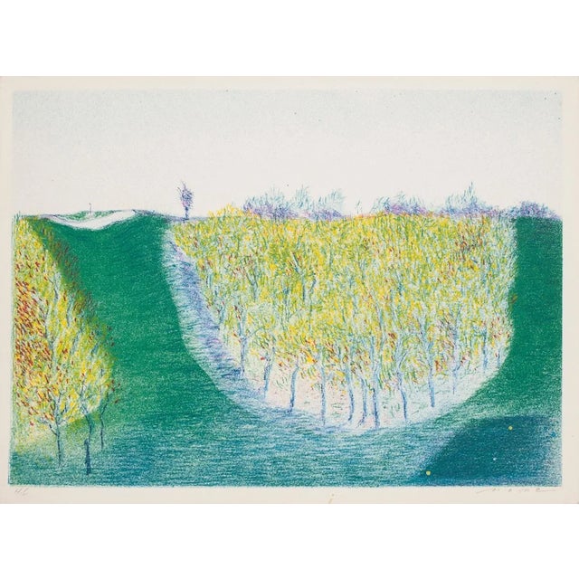 Landscape - Original Lithograph - XX century 20th century For Sale